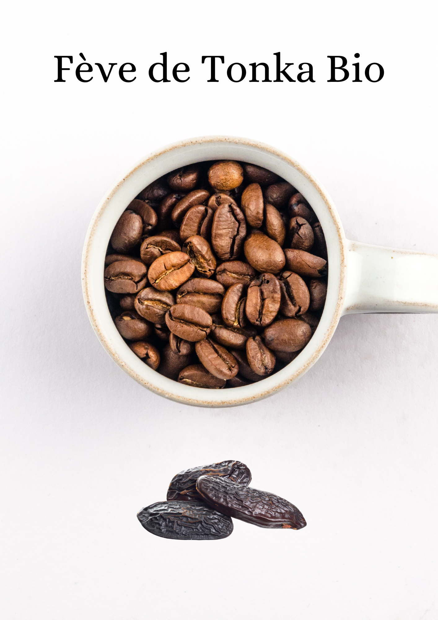 Fève de Tonka Bio