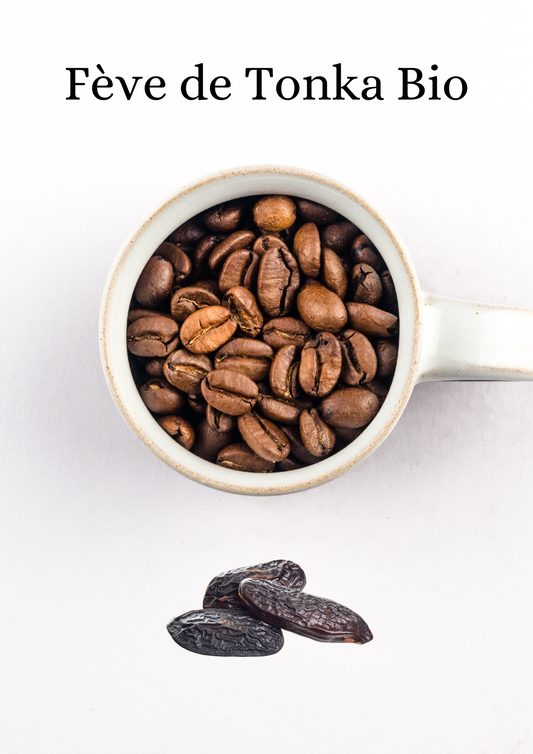 Fève de Tonka Bio