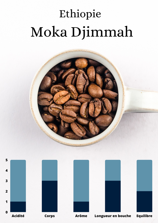 Ethiopie - Moka Djimmah